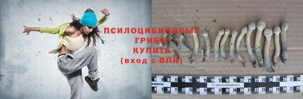 не бодяженный Инсар
