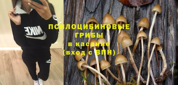 эйфоретик Зеленодольск