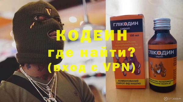 трава Инта